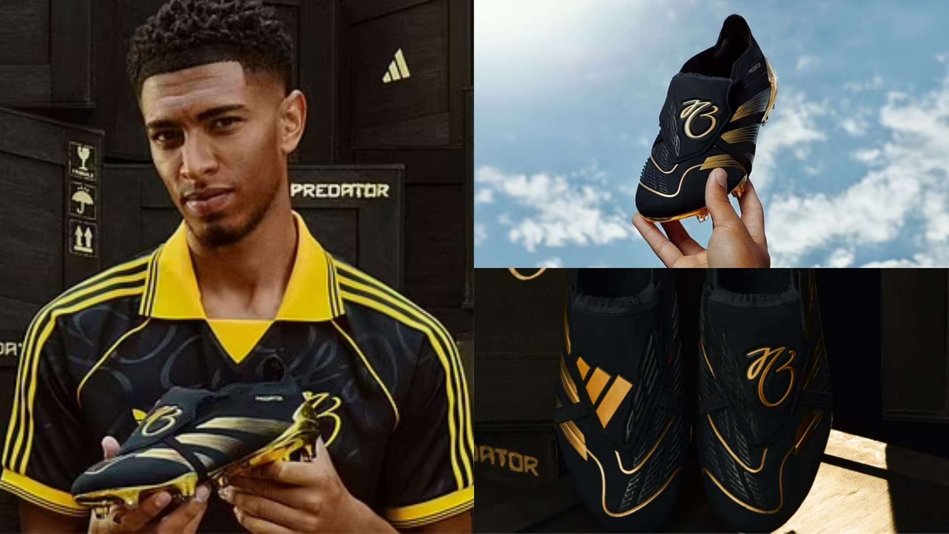 无论是场馆 无论是场馆